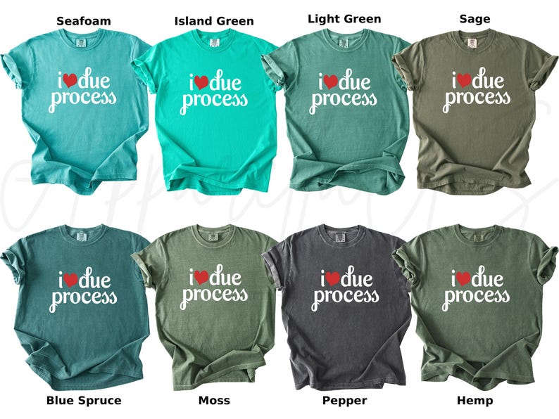 May include: A collection of eight t-shirts in various colors, including seafoam, island green, and sage. Each shirt features the text "I due process" with a red heart. The shirts are short-sleeved and appear to be made of a soft material.