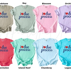 May include: A collection of eight short-sleeved t-shirts in various colors, including beige, green, pink, purple, red, teal, light blue, and turquoise. Each shirt features the phrase "I ❤️ due process" in navy blue script.