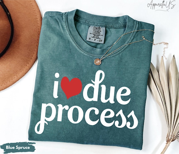 Comfort Colors® I Love Due Process Shirt, Pro Immigration Shirt, Immigrants Rights Shirt, Deport Fascists Not Immigrants Shirt, Immigration