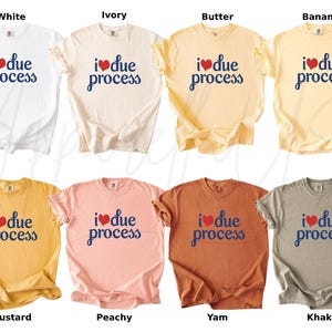 May include: A collection of t-shirts in various colors, including white, ivory, butter, banana, mustard, peachy, yam, and khaki. Each shirt features the phrase "I ❤️ due process" in a heart and script font.