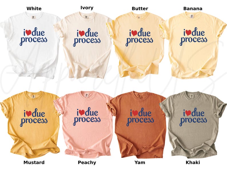 May include: A collection of t-shirts in various colors, including white, ivory, butter, banana, mustard, peachy, yam, and khaki. Each shirt features the phrase "I ❤️ due process" in a heart and script font.