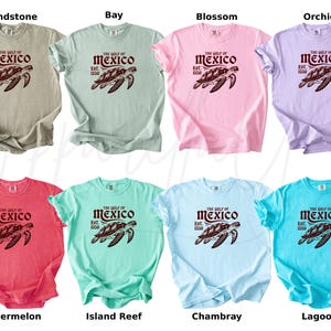 May include: A set of ten t-shirts in various colors featuring a graphic of a sea turtle with the text "The Gulf of Mexico Est. 1500". The colors include sandstone, bay, blossom, orchid, watermelon, island reef, chambray, and lagoon.