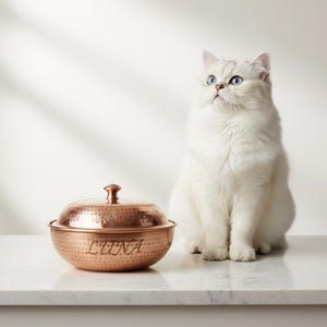 Copper Cat Treat Jar | Custom Engraved Name
