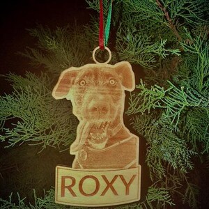 Pet ornament