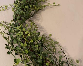 6.6 FT Artificial Baby Tears Garland, Greenery Decor