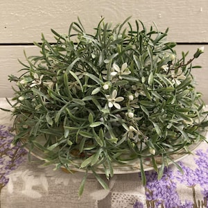 May include: A decorative arrangement of green faux foliage with small white flowers, presented on a vintage-style plate. The arrangement is set against a backdrop of a lavender-patterned fabric and a light-colored wooden surface.