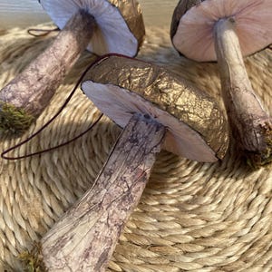 Paper Mache Mushrooms Set of 3