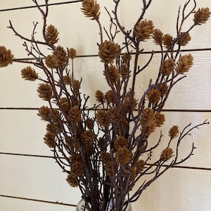 May include: A decorative arrangement of dark brown, slender, branching twigs adorned with numerous small, light brown, cone-like structures. The twigs are gathered together and extend upward, creating a dense, textured, and natural-looking botanical display.