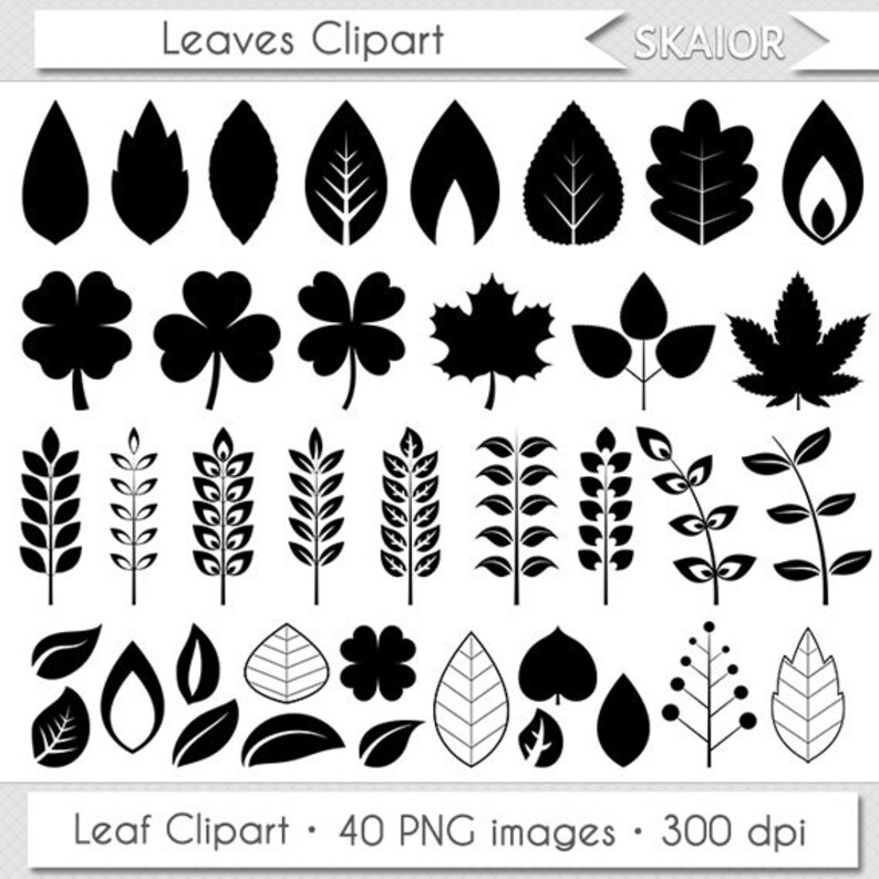 Leaves Clipart Digital Leaves Clip Art Vector Leaf Clipart Leaf Silhouette Invitations Scrapbooking Summer Leaves Spring Leaves Doodle Leaf