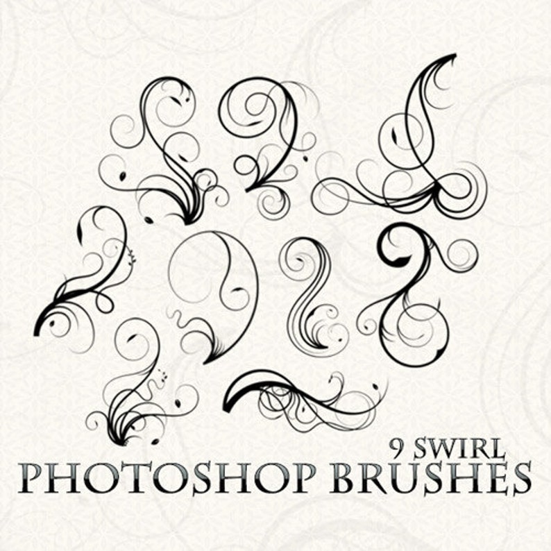Swirls Brushes Flourish Brushes Etsy