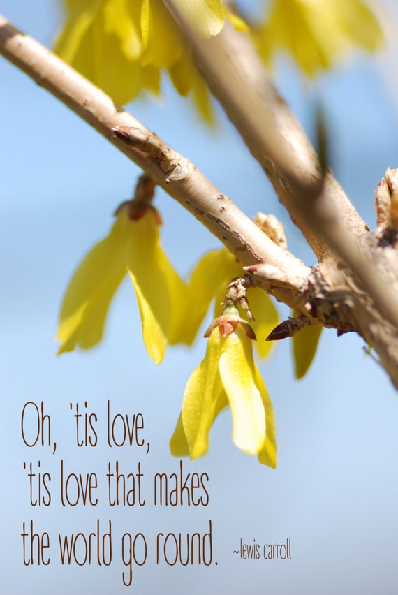 Yellow Forsythia Digital Download Photography Inspirational Etsy