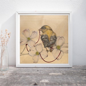 May include: A yellow and black bird with a red string tied around its beak sits on a branch with white dogwood blossoms.