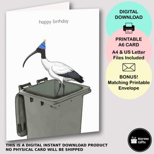 Druckbare Bin Huhn Geburtstagskarte, Ibis Geburtstag, australische A6 Grußkarte, sofortiger Download, passender druckbarer C6 Umschlag