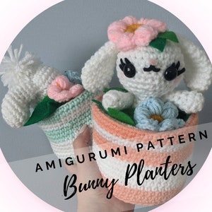 Bunny Rabbit Planter Crochet Amigurumi Pattern - Kawaii - Lapin de Pâques - Thérapie d'appartement - Cadeau de pendaison de crémaillère - Téléchargement instantané - Anglais