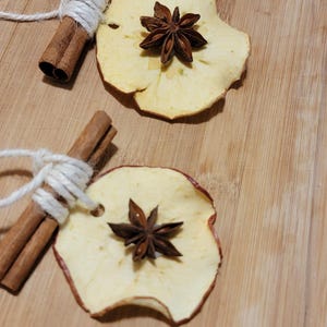 Dried Apple Slice Ornaments – Star Anise & Cinnamon Stick Accents – Farmhouse Christmas Tree Decor – Handmade Set of 5