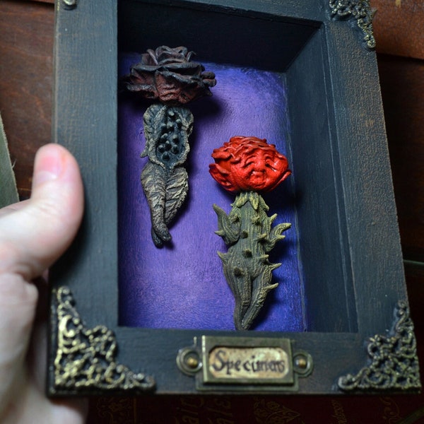 flower fairies,flower dolls,sandra arteaga,creepy cute,curio cabinet,Shadow box art,miniature dolls,oddities and curiosities,fairy doll,rose