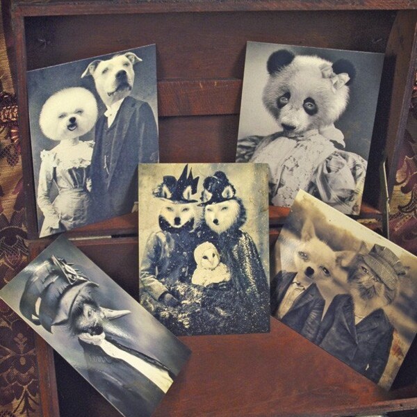Set of 5 original Postcards - Mini Print Set N1 - animals portarit victorian wolf owl dogs bear bird cat