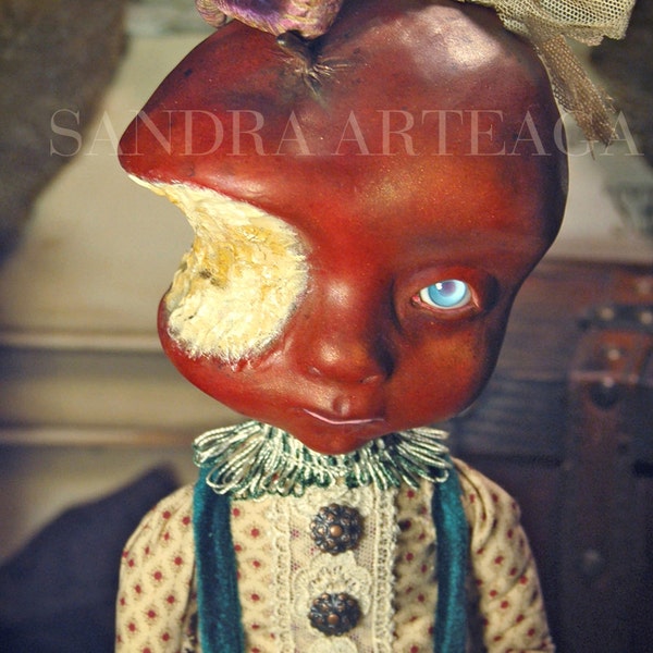 Anipoma Nemorosa en Gusgustavio - lustre afdrukformaat A4 (8.3 in x 11,7 in)