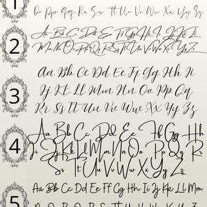 May include: Five calligraphy font styles are shown, each with a full alphabet in upper and lower case. The fonts are numbered and framed in decorative oval borders, displaying elegant script styles suitable for design work.