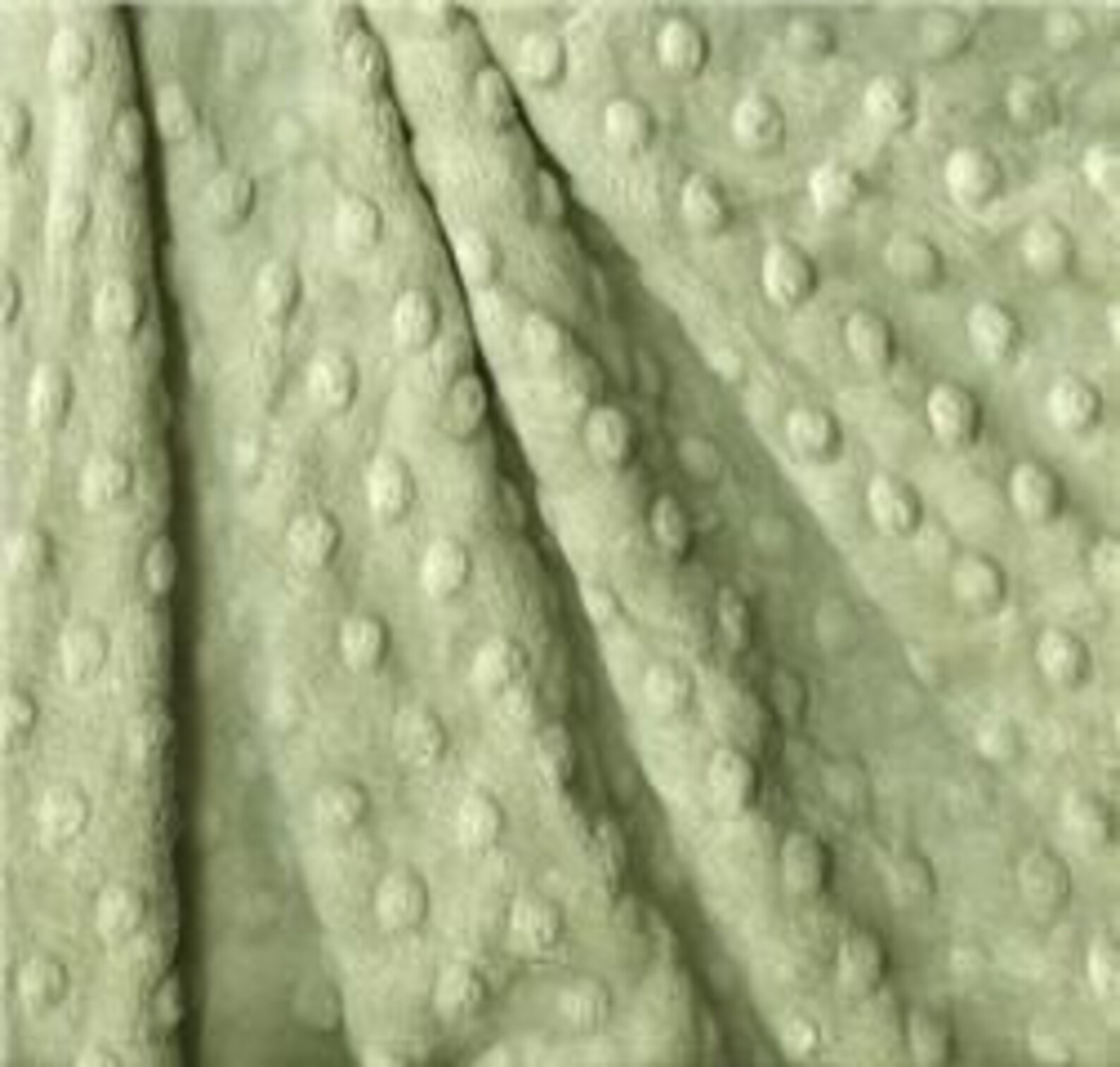 Sage Green Changing Pad Cover Etsy