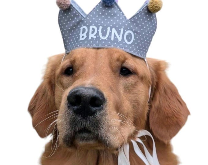 Personalized handmade dog crown, custom crown, perfect for birthdays and photoshoots with dogs, light grey