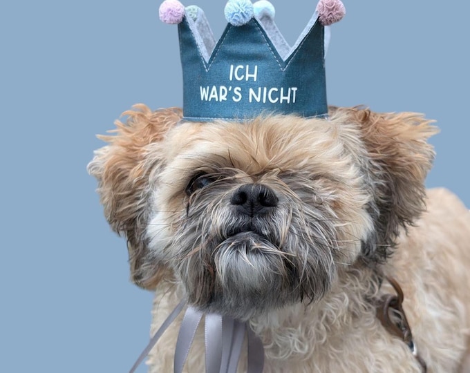 Personalized handmade dog crown, custom crown, perfect for birthdays and photoshoots with your dog, petrol blue