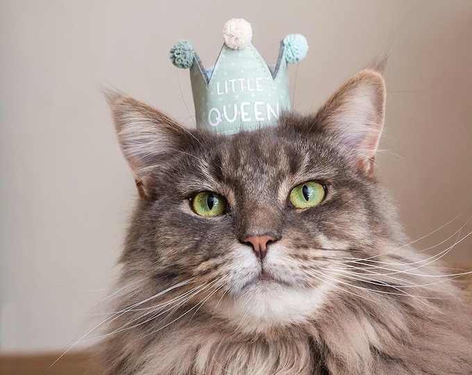 Personalized handmade crown, perfect for birthday and photoshoot with cat