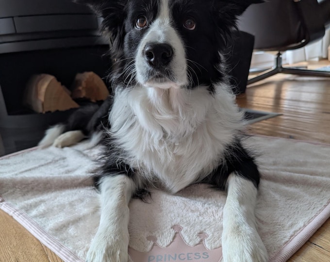 Personalized cuddly puppy blanket, dog blanket with crown
