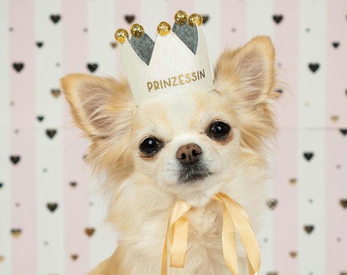 Personalized handmade dog crown, custom crown, perfect for birthdays and photoshoots with your dog, white