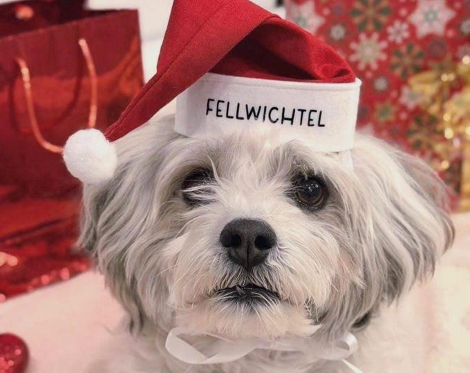 Santa hat, Christmas hat, dog hat, personalized, red and white
