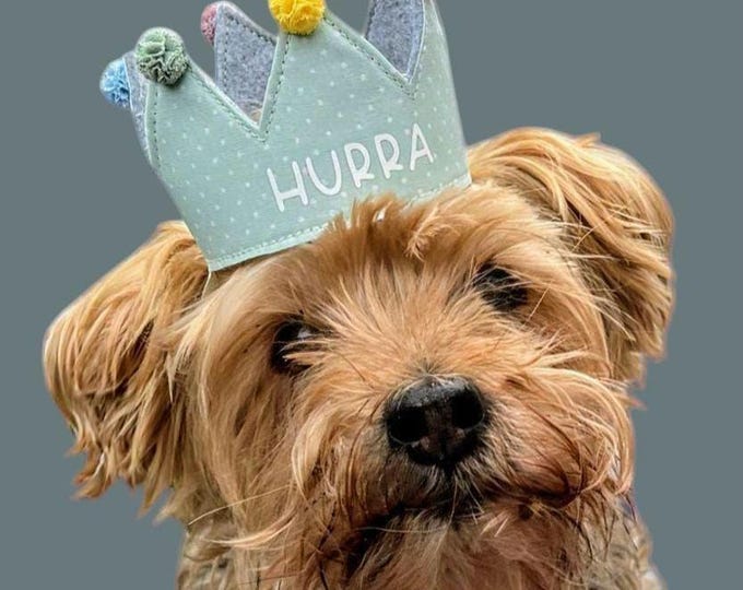 Personalized handmade dog crown, custom crown, perfect for birthdays and photoshoots with your dog, mint
