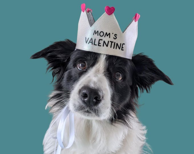 Personalized handmade dog crown, custom crown, perfect for Valentine's Day and dog photoshoots, white, with hearts