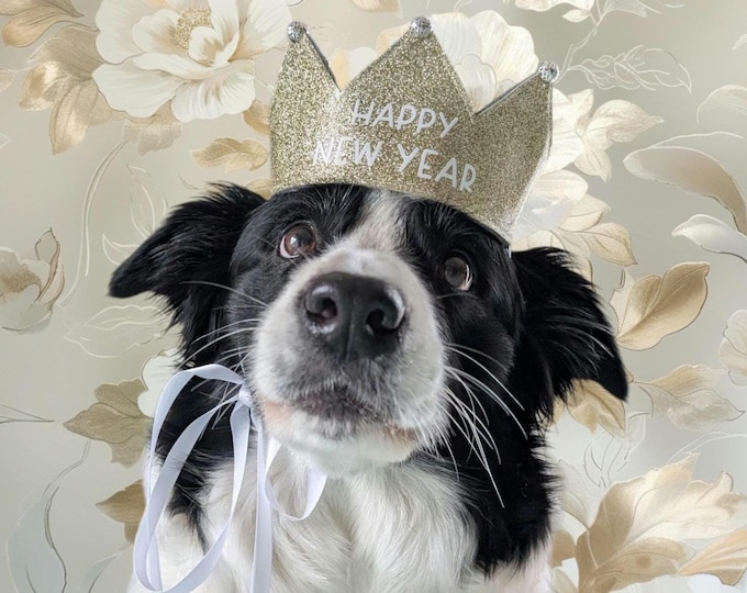 New Year's Eve dog crown, Happy New Year, gold glitter, perfect for photoshoots