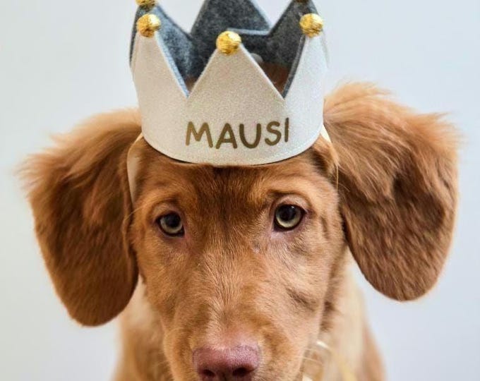 Personalized handmade dog crown, custom crown, perfect for birthdays and photoshoots with your dog, white