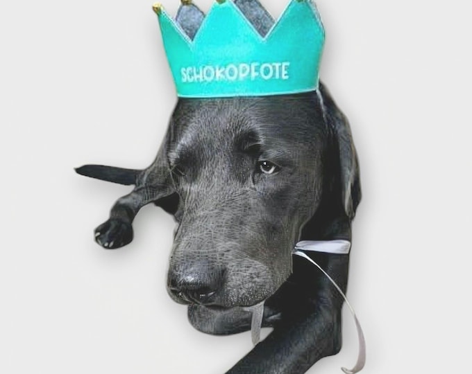 Personalized handmade dog crown, custom crown, perfect for birthdays and photoshoots with your dog, turquoise