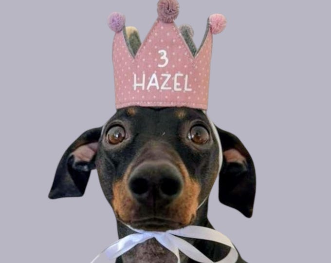 Personalized handmade dog crown, custom crown, perfect for birthdays and photoshoots with your dog, pink