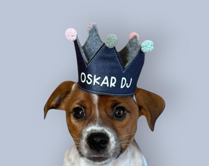 Personalized handmade dog crown, custom crown, perfect for birthdays and photoshoots with your dog, blue