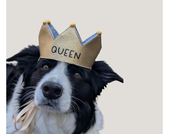 Personalized handmade dog crown, custom crown, perfect for birthdays and photoshoots with your dog, gold