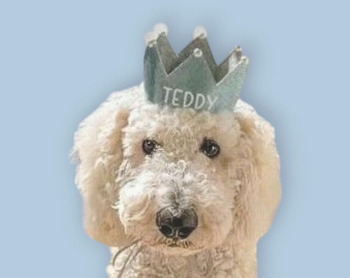 Personalized handmade dog crown, custom crown, perfect for birthdays and photoshoots with your dog, blue