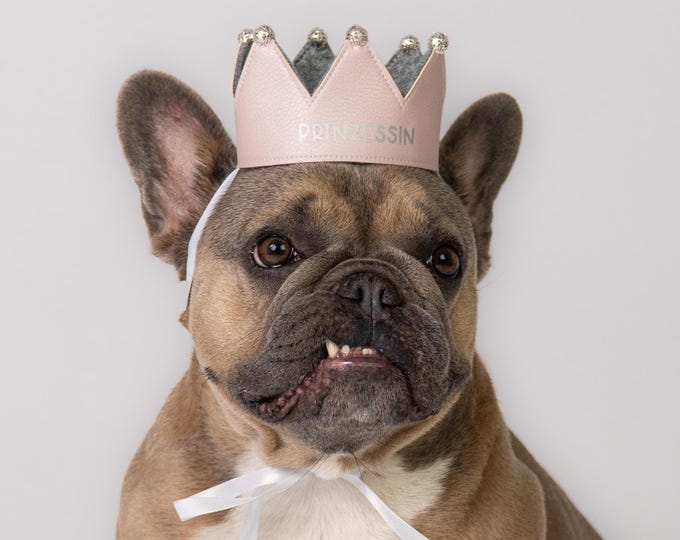 Personalized handmade dog crown, custom crown, perfect for birthdays and photoshoots with your dog, pink