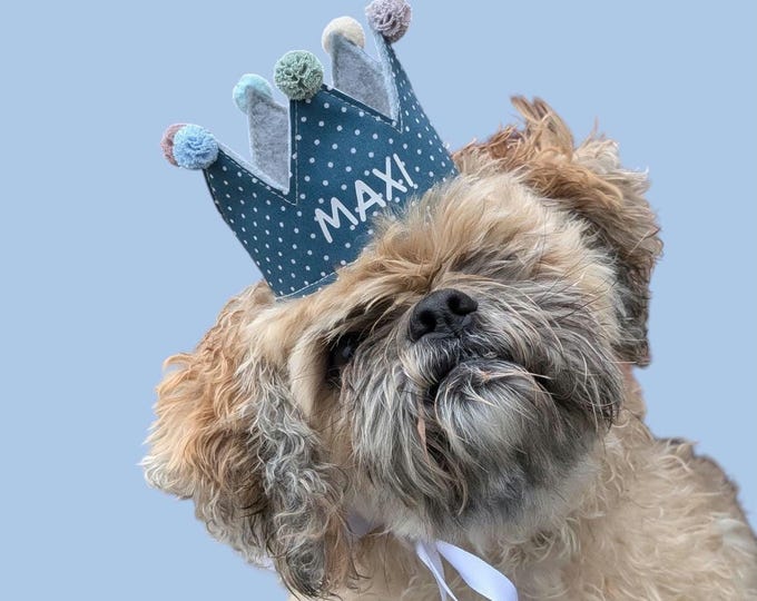 Personalized handmade dog crown, custom crown, perfect for birthdays and photoshoots with your dog, petrol blue with white polka dots