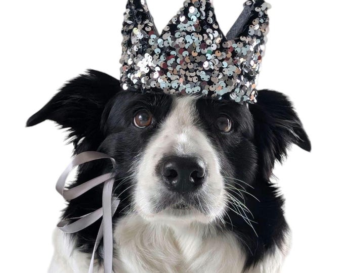 Sequin dog crown in silver, a great gift for birthdays and photoshoots.