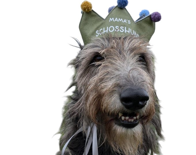 Personalized handmade dog crown, custom crown, perfect for birthdays and photoshoots with your dog, green