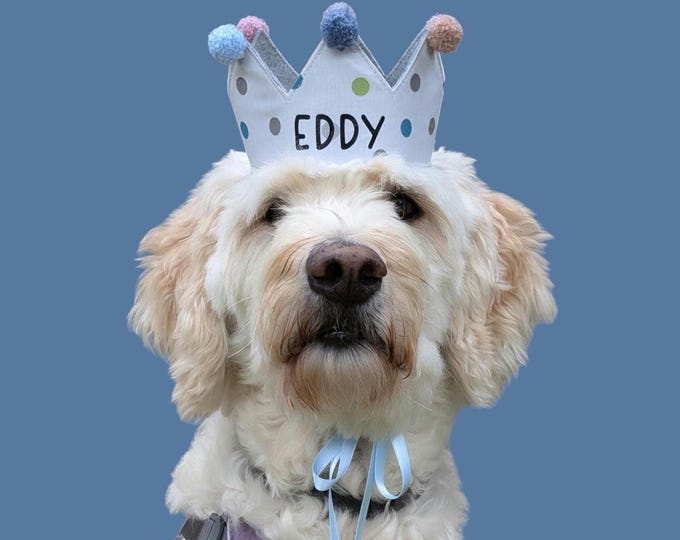 Personalized handmade dog crown, custom crown, perfect for birthdays and photoshoots with your dog, white with colorful dots