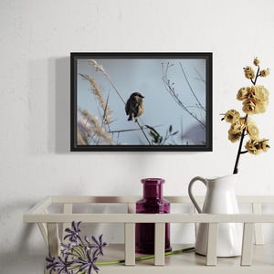 Photo Numérique – Moineau Domestique en Pleine Nature – Téléchargement Instantané, Art Mural, Décoration Murale - carte postale -les dombes