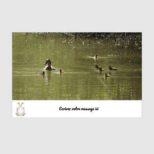 Carte de Pâques personnalisée – Canard et bébé – Photo originale – Message au choix ou espace libre – Papier SoftTouch- réalisé par moi même