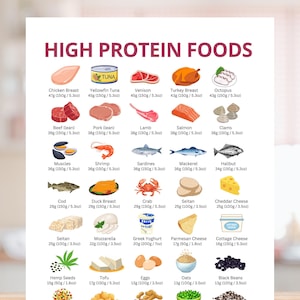 Könnte beinhalten: Eine farbenfrohe Infografik mit proteinreichen Lebensmitteln wie Hähnchenbrust, Thunfisch, Wild, Truthahnbrust, Oktopus, Rindfleisch, Schweinefleisch, Lamm, Lachs, Muscheln usw. Maße in Gramm und Unzen.