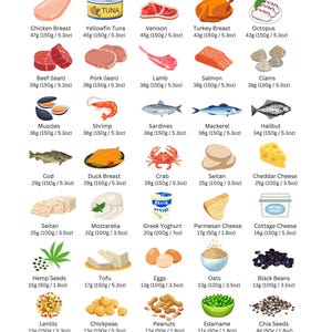 The ultimate high protein food list and chart. Find the top 40 protein sources by average serving size. Can also be used for keto and low carb diets. Perfect for meal planning, shopping lists, grocery lists and more.