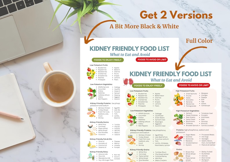 Kidney-Friendly Food List PDF: Renal diet guide with foods to eat & avoid, low potassium, low phosphorus options, tips for CKD meal planning, categorized fruits, vegetables, grains, proteins, dairy & more. Perfect for managing chronic kidney disease