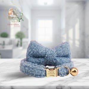 Personalized Teddy Cat Collar: Engraved Nameplate, Bow & Bell